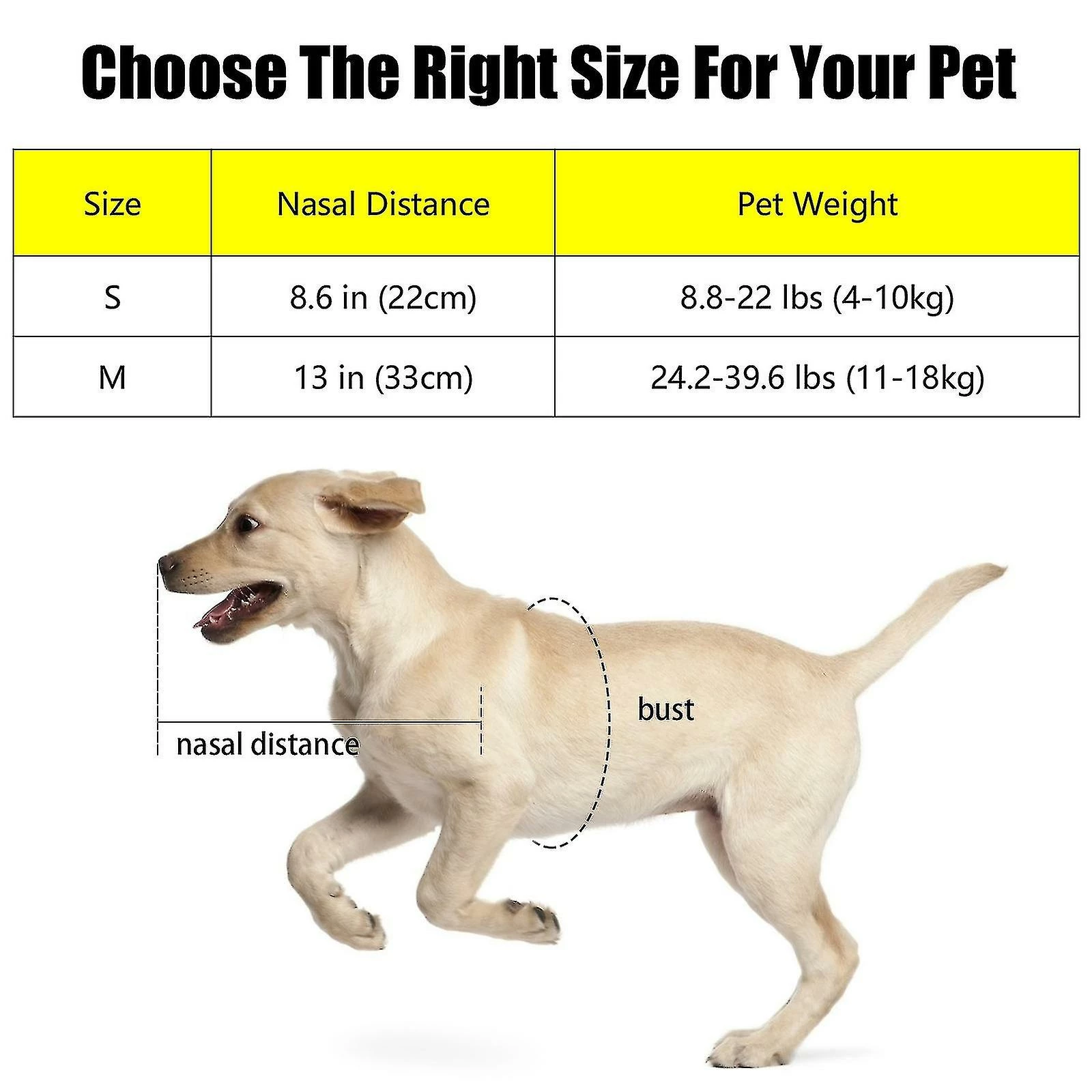 Unbranded Pet Anti-collision Ring Blind Dog Halo Collier, Harnais Dispositif De Guidage Pet Vest 2 Unbranded Pet Anti-collision Ring Blind Dog Halo Collier, Harnais Dispositif De Guidage Pet Vest – Image 2