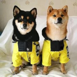 Unbranded The Dog Face Imperméable Et Dog Coat Vêtements Pour Animaux De Compagnie -nourriture pour chien boutique 660597469 max
