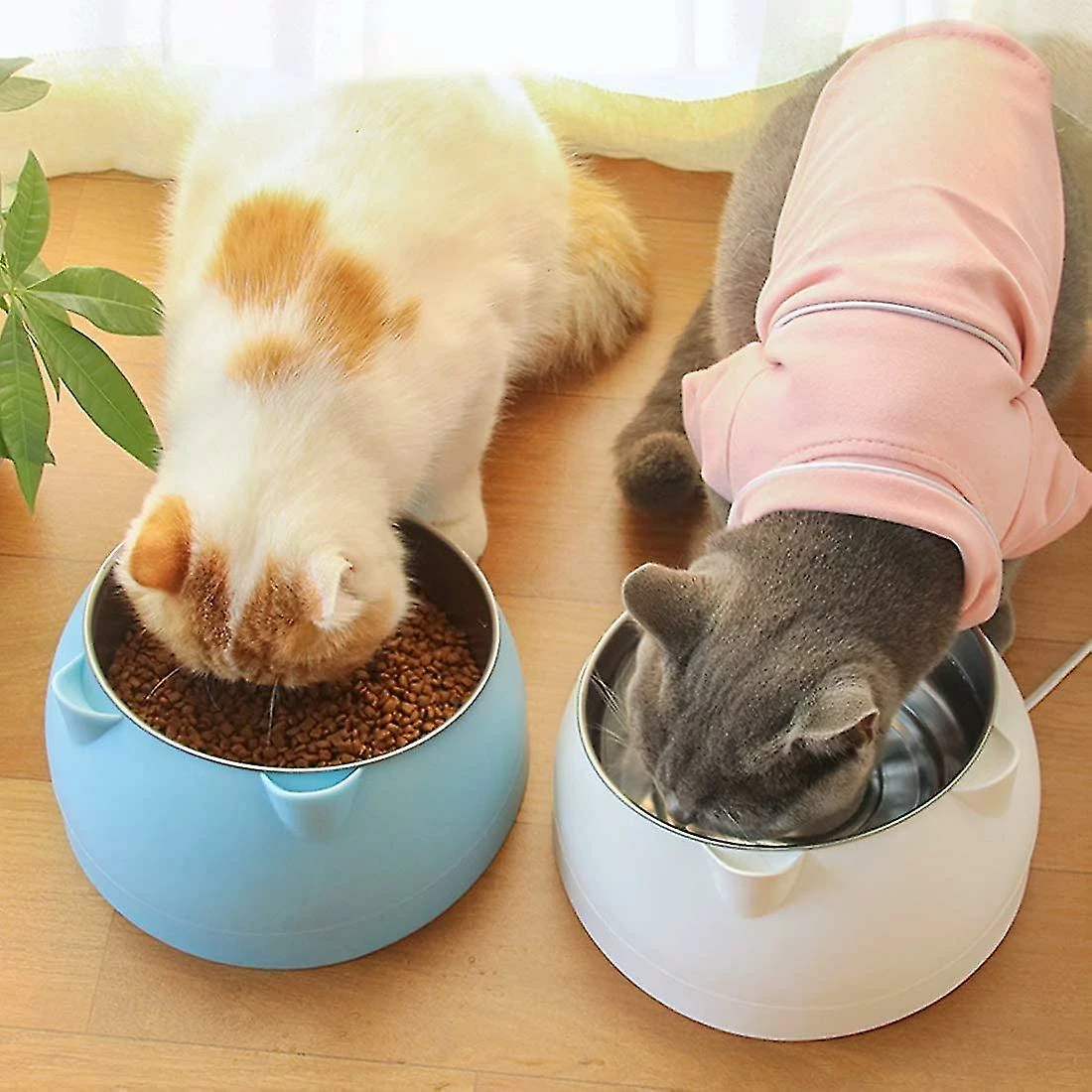 Unbranded Cat Bowl, Cat Incliné, 15 Platform Inclined Cat Bowl, Small Dog Bowl, Anti-slip Cat Dog Bowl, 200ml 1 Unbranded Cat Bowl, Cat Incliné, 15 Platform Inclined Cat Bowl, Small Dog Bowl, Anti-slip Cat Dog Bowl, 200ml