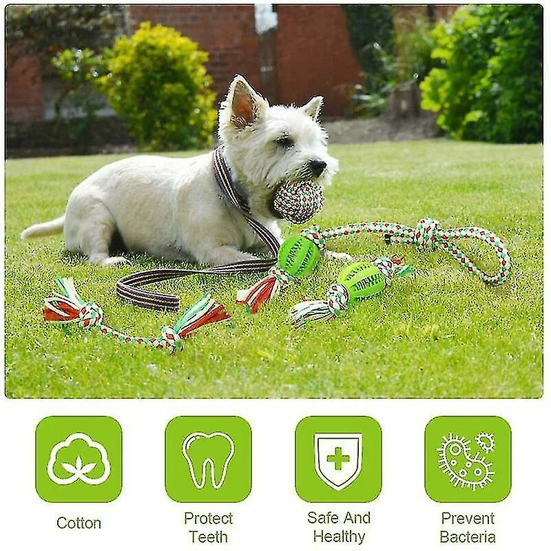 Heytea Jouets Interactifs à Mâcher Pour Chiens, 4 Pcs Healwe Dog Teether Toys Avec Balles Et Ficelles 3 Heytea Jouets Interactifs à Mâcher Pour Chiens, 4 Pcs Healwe Dog Teether Toys Avec Balles Et Ficelles – Image 3