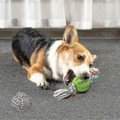 Heytea Jouets Interactifs à Mâcher Pour Chiens, 4 Pcs Healwe Dog Teether Toys Avec Balles Et Ficelles 9 Heytea Jouets Interactifs à Mâcher Pour Chiens, 4 Pcs Healwe Dog Teether Toys Avec Balles Et Ficelles -nourriture pour chien boutique 664219281 max