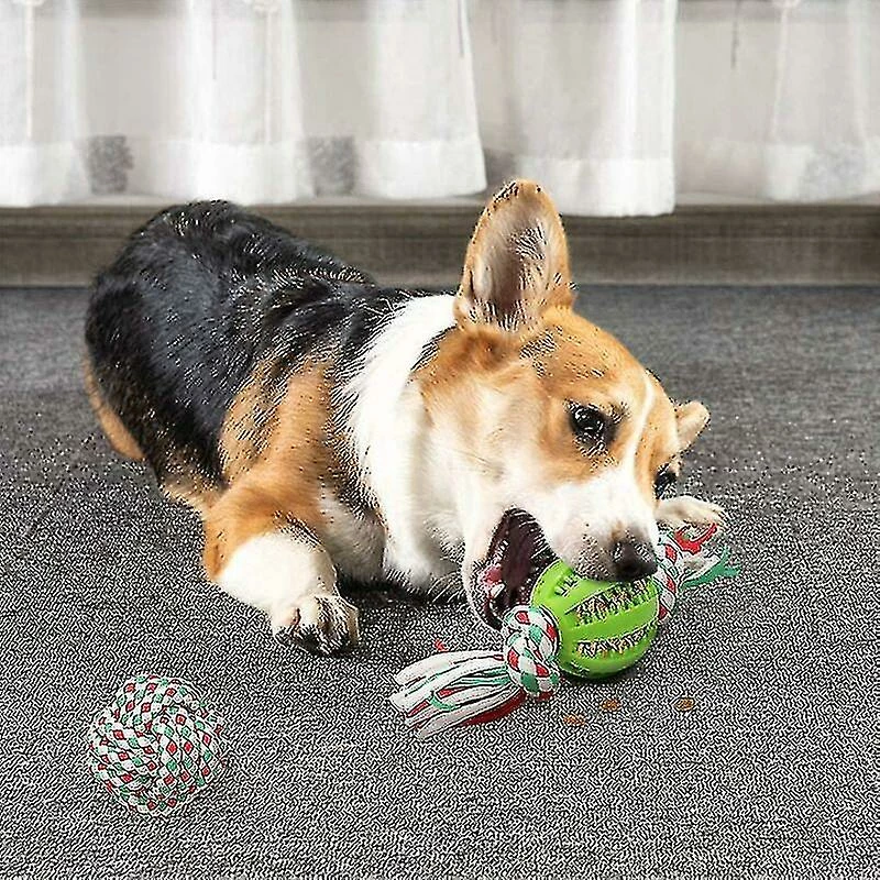 Heytea Jouets Interactifs à Mâcher Pour Chiens, 4 Pcs Healwe Dog Teether Toys Avec Balles Et Ficelles 5 Heytea Jouets Interactifs à Mâcher Pour Chiens, 4 Pcs Healwe Dog Teether Toys Avec Balles Et Ficelles – Image 5