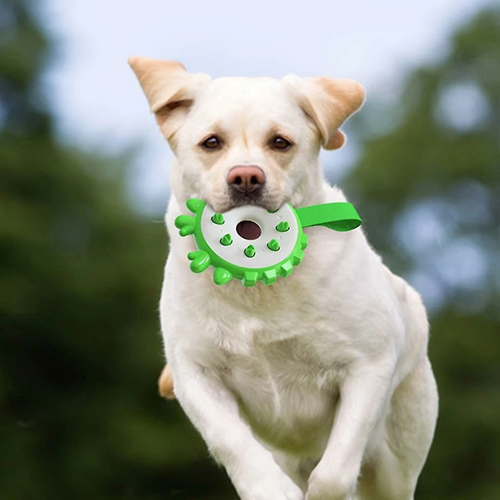 Unbranded Molar Interactif Toy Dog Donut Toy Pour Chiens D’intérieur Tpr Dog Donut Toy Livraison Gratuite 3 Unbranded Molar Interactif Toy Dog Donut Toy Pour Chiens D’intérieur Tpr Dog Donut Toy Livraison Gratuite – Image 3
