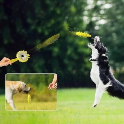 Unbranded Molar Interactif Toy Dog Donut Toy Pour Chiens D’intérieur Tpr Dog Donut Toy Livraison Gratuite 8 Unbranded Molar Interactif Toy Dog Donut Toy Pour Chiens D’intérieur Tpr Dog Donut Toy Livraison Gratuite -nourriture pour chien boutique 666599135 max