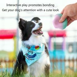 Unbranded Lovely Dog Toy Squeak Latex Interactive Chew Toy Pour Medium Small Dogs Livraison Gratuite -nourriture pour chien boutique 666599670 max