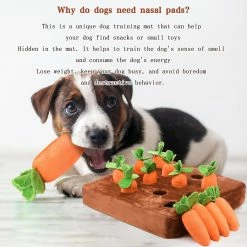 Unbranded Carrot Farm Dog Toys Pet Peluche Training Toys Carotte Farm Dog Cache-cache Jouets -nourriture pour chien boutique 669286507 max