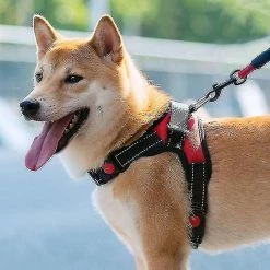 Unbranded Pet Dog Leash Tract Harness Drag - -l Aespa 7 Unbranded Pet Dog Leash Tract Harness Drag - -l Aespa -nourriture pour chien boutique 670410251 max
