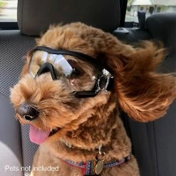 Attoe Imperméable à L’eau Protection Des Yeux Coupe-vent Cool Dog Goggles Sangle Réglable 8 Attoe Imperméable à L’eau Protection Des Yeux Coupe-vent Cool Dog Goggles Sangle Réglable -nourriture pour chien boutique 673687151 max
