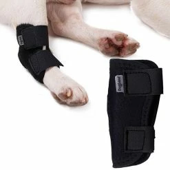 Attoe Hock Protector Entorse Néoprène Fixation Articulaire Knee Support Wrap Dog -nourriture pour chien boutique 674960510 max
