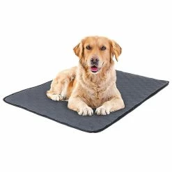 Unbranded Pet Pad Épaississant Absorbant Et Désodorisant Dog Pet Pads Doux Lavable Pet -nourriture pour chien boutique 676812742 max