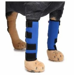 Unbranded Aespa Dog Surgery Housse De Protection Contre Les Blessures Avec Tige De Soutien (L Bleu)