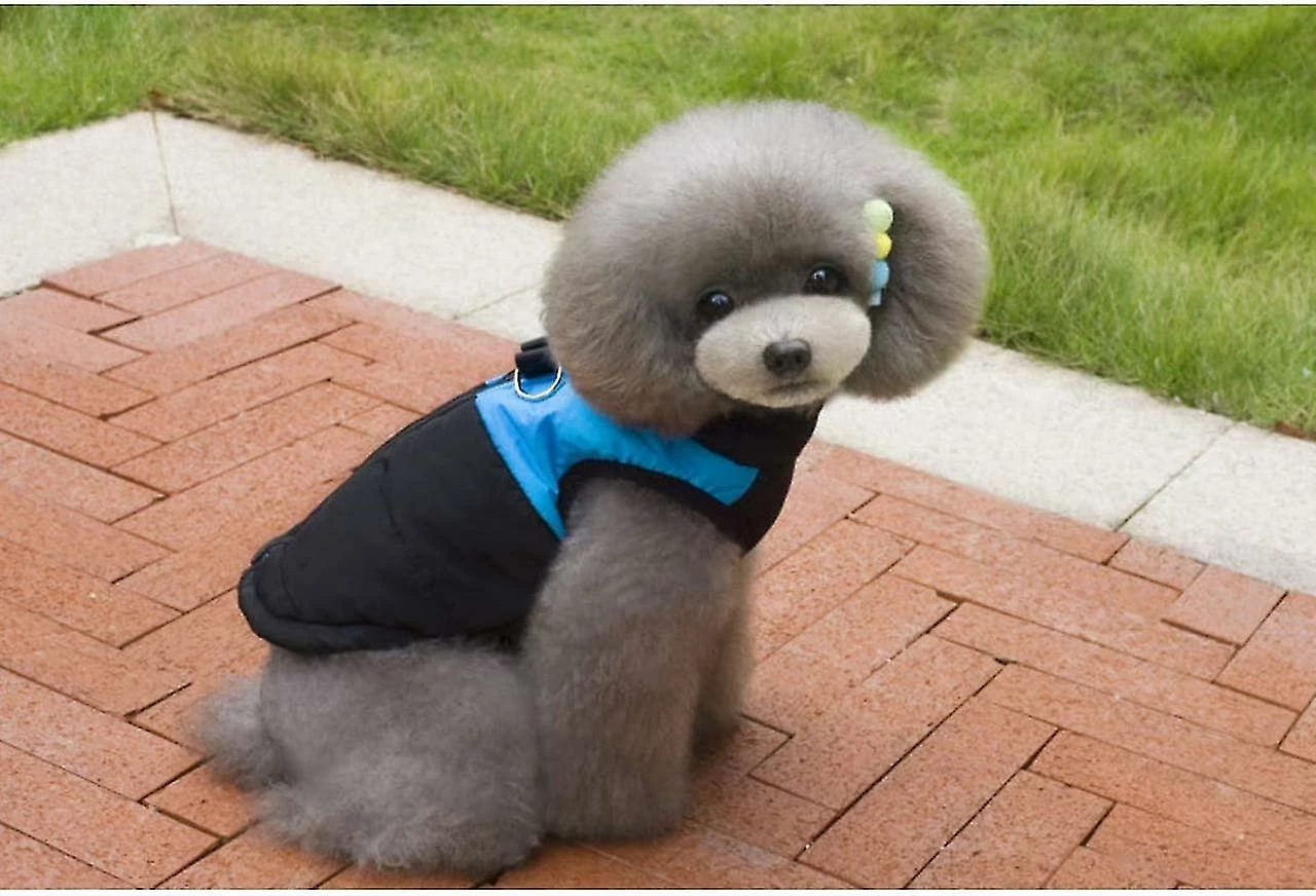 Unbranded Waterproof Dog Coat Jacket Warm Padded Puffer Pet Dog Puppy Clothes Vest( Dog Mannequins Is Not Inclueded) ( ,s)(1pcs) 5 Unbranded Waterproof Dog Coat Jacket Warm Padded Puffer Pet Dog Puppy Clothes Vest( Dog Mannequins Is Not Inclueded) ( ,s)(1pcs) – Image 5