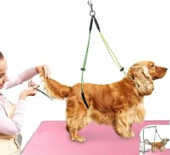 Unbranded Pet Grooming Table Corde Pet Grooming Leash Neck And Hock Holder Dog Grooming Buckle Jaune + Vert 6 Unbranded Pet Grooming Table Corde Pet Grooming Leash Neck And Hock Holder Dog Grooming Buckle Jaune + Vert -nourriture pour chien boutique 688303060 max