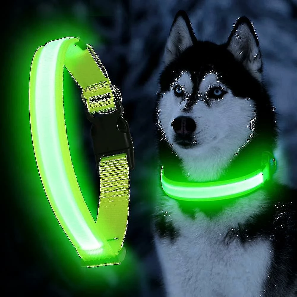 Unbranded Ultra Light Usb Rechargeable Led Dog Collar - Réglable Led Collar Dog - Collier Pour Chien Étanche - Collier Pour Chien Clignotant Visibilité Et Sécurité Pour Vos Chiens 1 Unbranded Ultra Light Usb Rechargeable Led Dog Collar - Réglable Led Collar Dog - Collier Pour Chien Étanche - Collier Pour Chien Clignotant Visibilité Et Sécurité Pour Vos Chiens