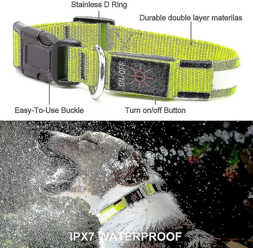 Unbranded Ultra Light Usb Rechargeable Led Dog Collar - Réglable Led Collar Dog - Collier Pour Chien Étanche - Collier Pour Chien Clignotant Visibilité Et Sécurité Pour Vos Chiens 2 Unbranded Ultra Light Usb Rechargeable Led Dog Collar - Réglable Led Collar Dog - Collier Pour Chien Étanche - Collier Pour Chien Clignotant Visibilité Et Sécurité Pour Vos Chiens – Image 2