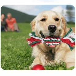 Unbranded Corde Dog Jouets Jouer Chiens Jouets Cadeau Pour Animaux Propriétaire Tir à La Guerre Indestructible 9 Unbranded Corde Dog Jouets Jouer Chiens Jouets Cadeau Pour Animaux Propriétaire Tir à La Guerre Indestructible -nourriture pour chien boutique 690996935 max