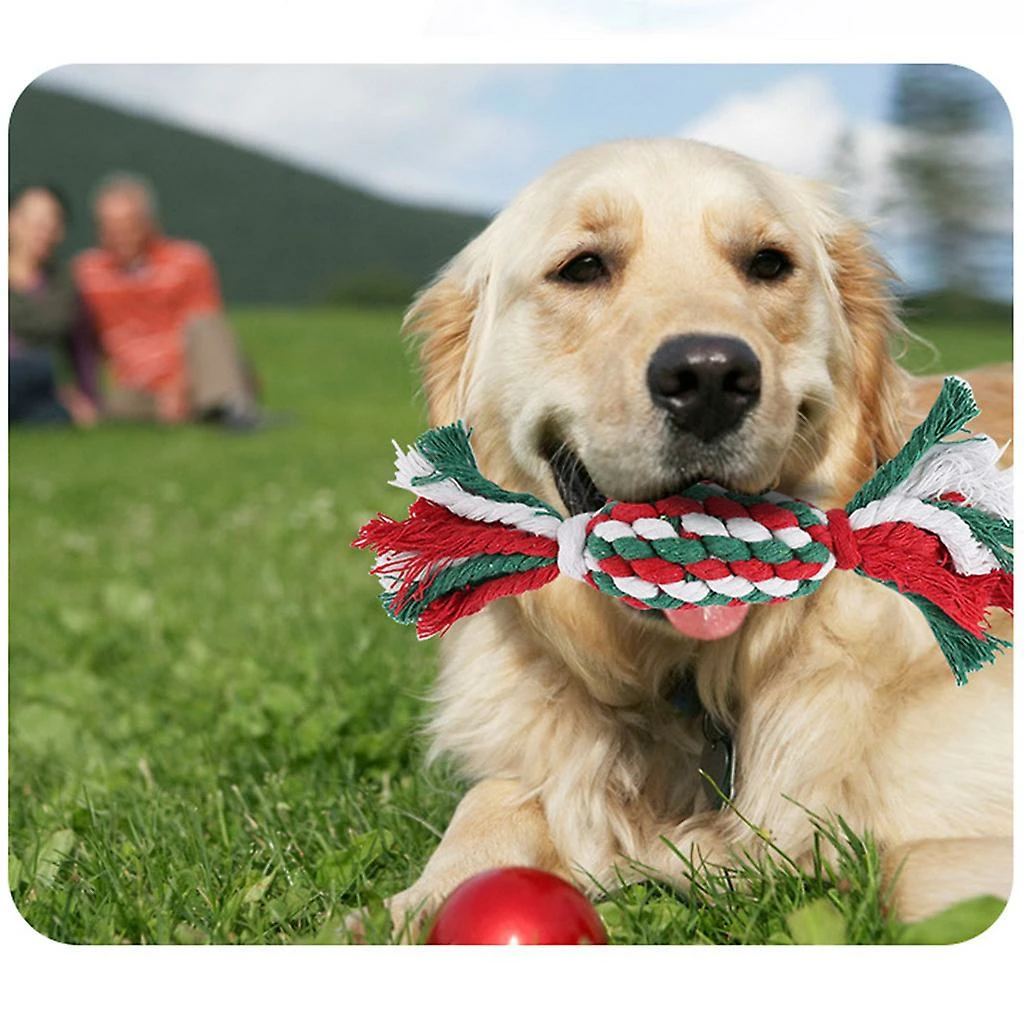 Unbranded Corde Dog Jouets Jouer Chiens Jouets Cadeau Pour Animaux Propriétaire Tir à La Guerre Indestructible 5 Unbranded Corde Dog Jouets Jouer Chiens Jouets Cadeau Pour Animaux Propriétaire Tir à La Guerre Indestructible – Image 5