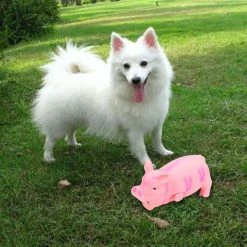 Unbranded Dog Toy Squeak Latex Pig Natural Rubber Animal Interactive Chew Toys Pour Chiens -nourriture pour chien boutique 690996994 max