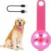 Szlzkj Pet Dog Collar Highlight Led Luminous Pendentif Imperméable à L’eau USB Charge Anti-perdu Collier Nuit Sécurité Clignotant