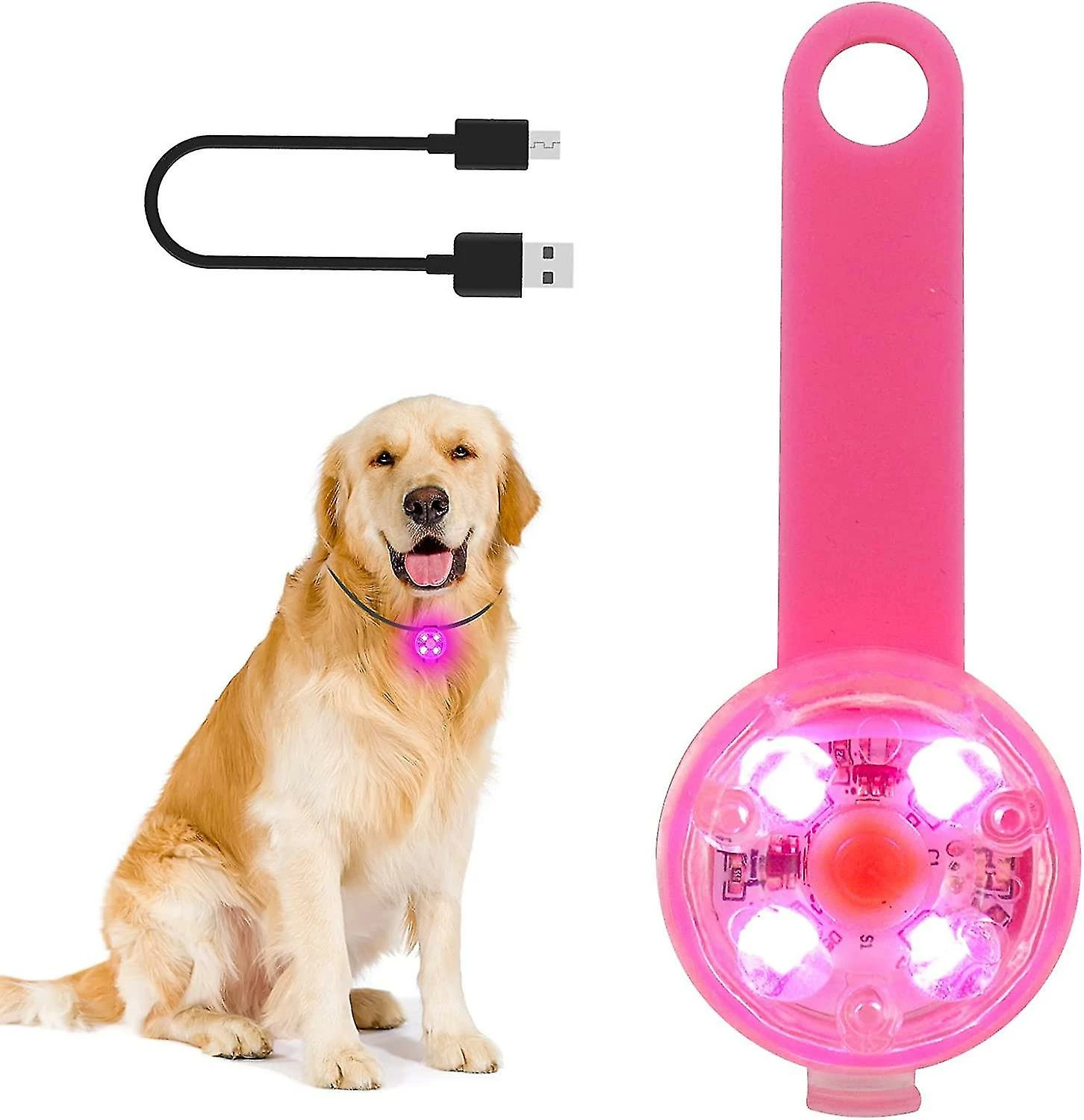 Szlzkj Pet Dog Collar Highlight Led Luminous Pendentif Imperméable à L’eau USB Charge Anti-perdu Collier Nuit Sécurité Clignotant 1 Szlzkj Pet Dog Collar Highlight Led Luminous Pendentif Imperméable à L’eau USB Charge Anti-perdu Collier Nuit Sécurité Clignotant