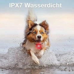 Szlzkj Pet Dog Collar Highlight Led Luminous Pendentif Imperméable à L’eau USB Charge Anti-perdu Collier Nuit Sécurité Clignotant -nourriture pour chien boutique 691441160 max