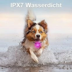 Szlzkj Pet Dog Collar Highlight Led Luminous Pendentif Imperméable à L’eau USB Charge Anti-perdu Collier Nuit Sécurité Clignotant 7 Szlzkj Pet Dog Collar Highlight Led Luminous Pendentif Imperméable à L’eau USB Charge Anti-perdu Collier Nuit Sécurité Clignotant -nourriture pour chien boutique 691441168 max