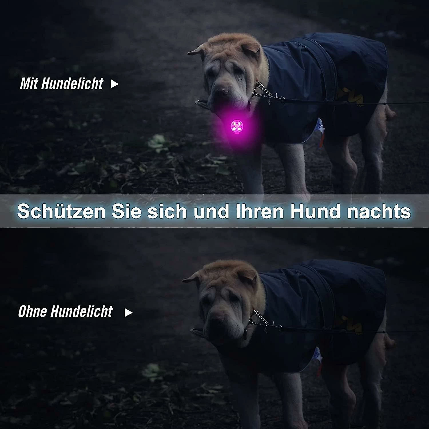 Szlzkj Pet Dog Collar Highlight Led Luminous Pendentif Imperméable à L’eau USB Charge Anti-perdu Collier Nuit Sécurité Clignotant 5 Szlzkj Pet Dog Collar Highlight Led Luminous Pendentif Imperméable à L’eau USB Charge Anti-perdu Collier Nuit Sécurité Clignotant – Image 5