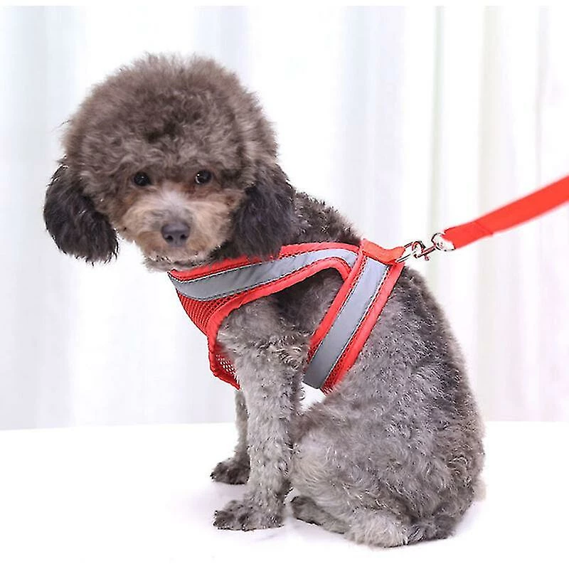 Unbranded Dog Leash Dog Harness Dog Leash Set Pet Harness And Leash For Walking With Reflective Strip - Xl,11 4 Unbranded Dog Leash Dog Harness Dog Leash Set Pet Harness And Leash For Walking With Reflective Strip - Xl,11 – Image 4
