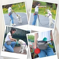 Unbranded Dog Treat Bag Extérieur Amovible Intérieur Double Couche Imperméable à L’eau Collations Réglables, Gris, 11 -nourriture pour chien boutique 700041389 max