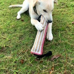 Unbranded Dog Training Pillow Resistant Interactive Play Toy Strong Handles Teeth Clean Dog Tugs Toy -nourriture pour chien boutique 701551556 max