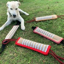 Unbranded Dog Training Pillow Resistant Interactive Play Toy Strong Handles Teeth Clean Dog Tugs Toy -nourriture pour chien boutique 701553207 max