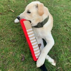 Unbranded Dog Training Pillow Resistant Interactive Play Toy Strong Handles Teeth Clean Dog Tugs Toy -nourriture pour chien boutique 701561947 max