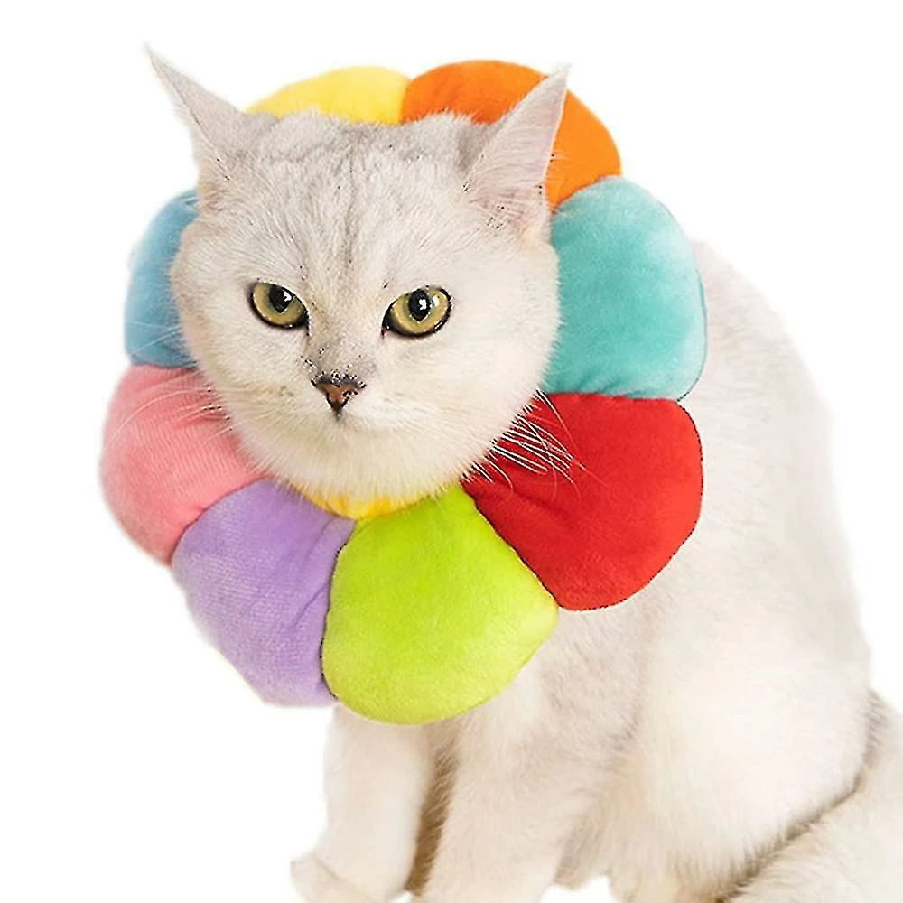 Daka Dog Cone Collar Pet E-collar Recovery Pet Cone Collarm Multicolor) 1 Daka Dog Cone Collar Pet E-collar Recovery Pet Cone Collarm Multicolor)