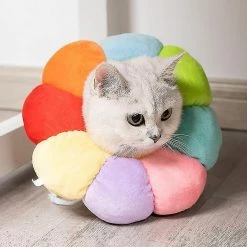 Daka Dog Cone Collar Pet E-collar Recovery Pet Cone Collarm Multicolor) 7 Daka Dog Cone Collar Pet E-collar Recovery Pet Cone Collarm Multicolor) -nourriture pour chien boutique 701835446 max