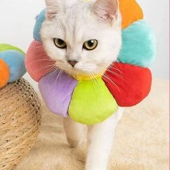 Daka Dog Cone Collar Pet E-collar Recovery Pet Cone Collarm Multicolor) 8 Daka Dog Cone Collar Pet E-collar Recovery Pet Cone Collarm Multicolor) -nourriture pour chien boutique 701835581 max