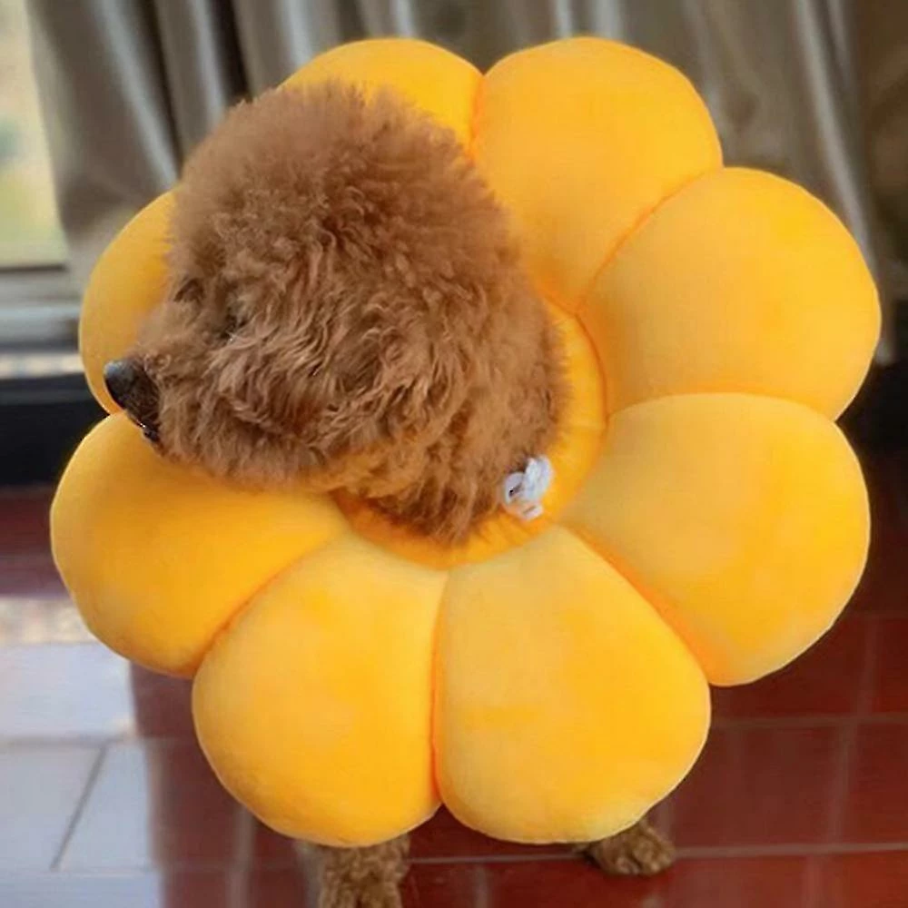 Daka Dog Cone Collar Pet E-collar Recovery Pet Cone Collarm Jaune) 4 Daka Dog Cone Collar Pet E-collar Recovery Pet Cone Collarm Jaune) – Image 4