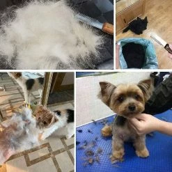 Unbranded Aidiyapet Knife Professional Dog Hair Stripper, Outil De Toilettage Pour Animaux De Compagnie Avec Poignée Ergonomique En Bois (gris) -nourriture pour chien boutique 706179689 max