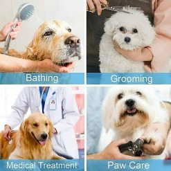 Unbranded Tapis à Lécher Pour Chien, Sans BPA, 2 Pièces Dog Leche Mat Avec 1 Spatule En Silicone, Pour Les Soins Et L’entraînement Des Animaux De Compagnie (bleu, Orange),11 8 Unbranded Tapis à Lécher Pour Chien, Sans BPA, 2 Pièces Dog Leche Mat Avec 1 Spatule En Silicone, Pour Les Soins Et L’entraînement Des Animaux De Compagnie (bleu, Orange),11 -nourriture pour chien boutique 708862682 max