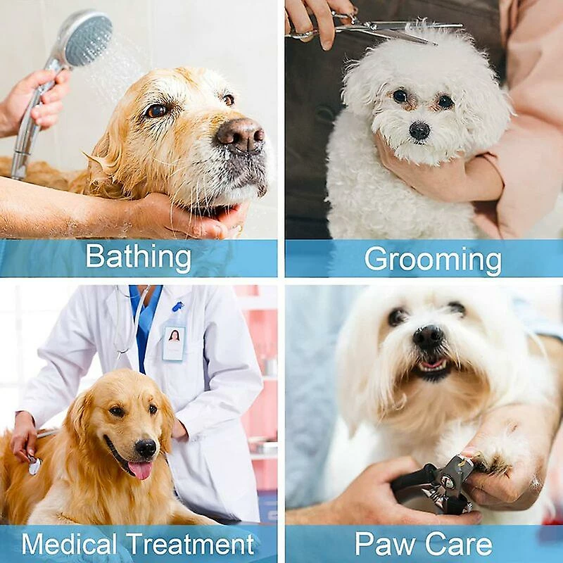 Unbranded Tapis à Lécher Pour Chien, Sans BPA, 2 Pièces Dog Leche Mat Avec 1 Spatule En Silicone, Pour Les Soins Et L’entraînement Des Animaux De Compagnie (bleu, Orange),11 4 Unbranded Tapis à Lécher Pour Chien, Sans BPA, 2 Pièces Dog Leche Mat Avec 1 Spatule En Silicone, Pour Les Soins Et L’entraînement Des Animaux De Compagnie (bleu, Orange),11 – Image 4