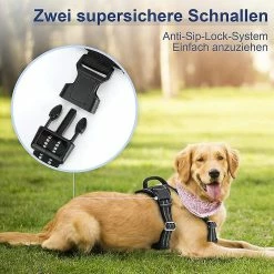 Unbranded Dog Harness, No Pull Harness, Pull Safety Harness, Small, Large & Medium Dogs, Chest Harness, Lightly Padded (s).,11 8 Unbranded Dog Harness, No Pull Harness, Pull Safety Harness, Small, Large & Medium Dogs, Chest Harness, Lightly Padded (s).,11 -nourriture pour chien boutique 708863084 max