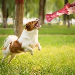 Unbranded Dog Chew Toy Resistant Squeaky Whistle Training Bone Shape Teeth Grinding,11 -nourriture pour chien boutique 708889437 max