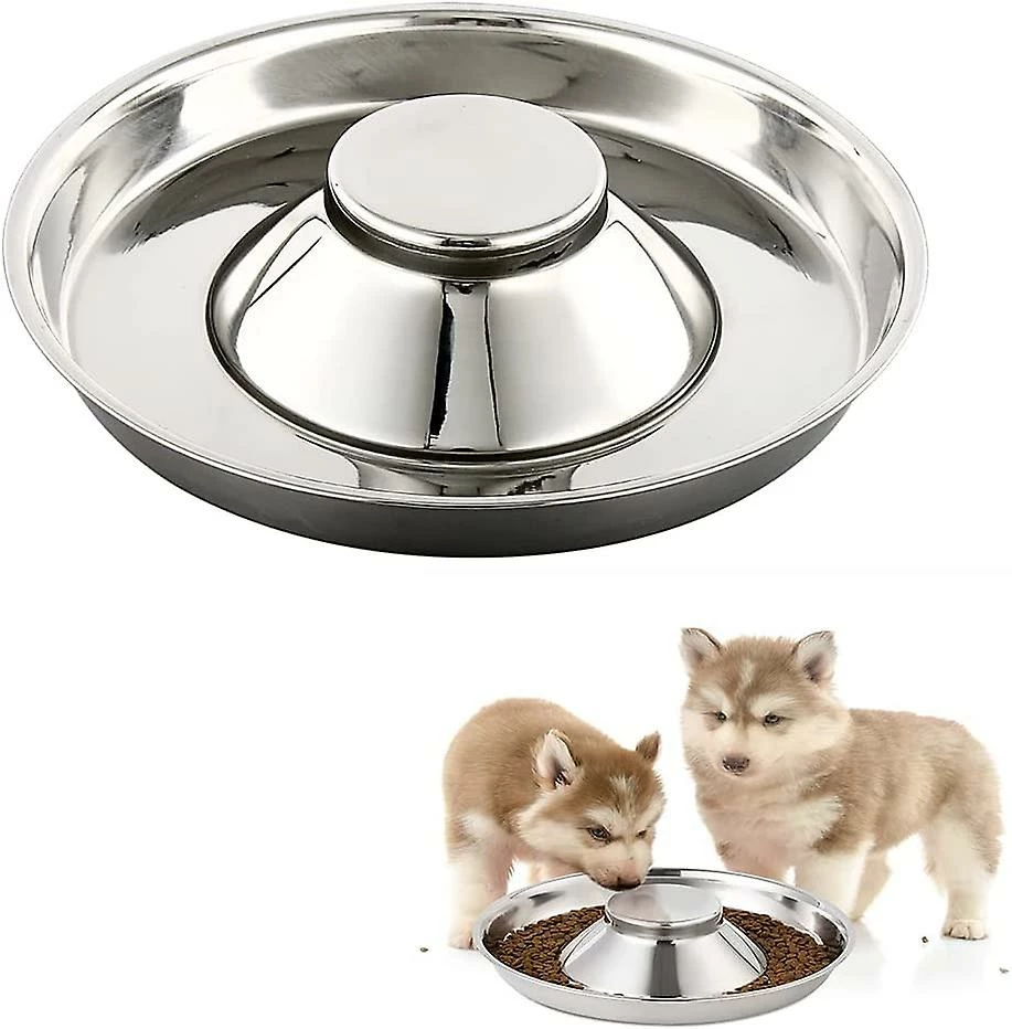 Shlyl Puppy Bowl Bol En Acier Inoxydable Dog Bowl Puppy Feeding Bowl Bol D’alimentation Lente Pour Plusieurs Animaux De Compagnie Boire Et Nourriture Simultanés Pet Bowl 1pc Argent 1 Shlyl Puppy Bowl Bol En Acier Inoxydable Dog Bowl Puppy Feeding Bowl Bol D’alimentation Lente Pour Plusieurs Animaux De Compagnie Boire Et Nourriture Simultanés Pet Bowl 1pc Argent