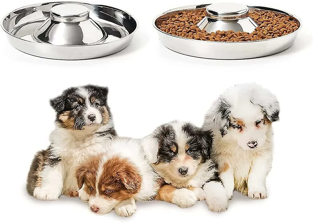 Shlyl Puppy Bowl Bol En Acier Inoxydable Dog Bowl Puppy Feeding Bowl Bol D’alimentation Lente Pour Plusieurs Animaux De Compagnie Boire Et Nourriture Simultanés Pet Bowl 1pc Argent 2 Shlyl Puppy Bowl Bol En Acier Inoxydable Dog Bowl Puppy Feeding Bowl Bol D’alimentation Lente Pour Plusieurs Animaux De Compagnie Boire Et Nourriture Simultanés Pet Bowl 1pc Argent – Image 2