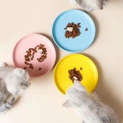Shlyl Ceramic Cat Food Bowl Ceramic Pet Bowl Shallow Mouth Cat Plate Cat Food Bowl Cat Dog Pet Kitten Water Plate Pet Plate 3 Pieces Green Yellow Pink -nourriture pour chien boutique 710783263 max
