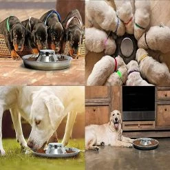 Shlyl Puppy Bowl Bol En Acier Inoxydable Dog Bowl Puppy Feeding Bowl Bol D’alimentation Lente Pour Plusieurs Animaux De Compagnie Boire Et Nourriture Simultanés Pet Bowl 1pc Argent 8 Shlyl Puppy Bowl Bol En Acier Inoxydable Dog Bowl Puppy Feeding Bowl Bol D’alimentation Lente Pour Plusieurs Animaux De Compagnie Boire Et Nourriture Simultanés Pet Bowl 1pc Argent -nourriture pour chien boutique 710783336 max