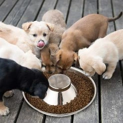 Shlyl Puppy Bowl Bol En Acier Inoxydable Dog Bowl Puppy Feeding Bowl Bol D’alimentation Lente Pour Plusieurs Animaux De Compagnie Boire Et Nourriture Simultanés Pet Bowl 1pc Argent 9 Shlyl Puppy Bowl Bol En Acier Inoxydable Dog Bowl Puppy Feeding Bowl Bol D’alimentation Lente Pour Plusieurs Animaux De Compagnie Boire Et Nourriture Simultanés Pet Bowl 1pc Argent -nourriture pour chien boutique 710783377 max