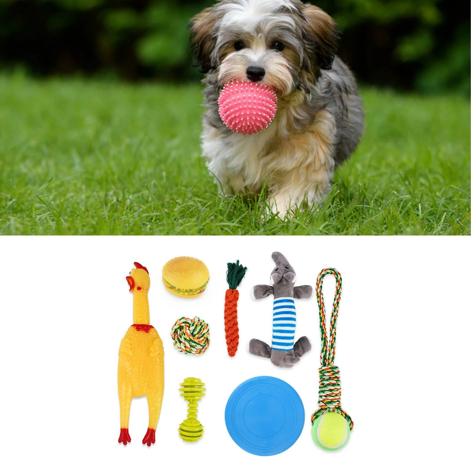 Favrison 8pcs Dog Plush Squeaky Toys Molar Teeth Cleaning Bite Resistant Interactive Pet Chewing Toy For Indoor And Outdoor 3 Favrison 8pcs Dog Plush Squeaky Toys Molar Teeth Cleaning Bite Resistant Interactive Pet Chewing Toy For Indoor And Outdoor – Image 3