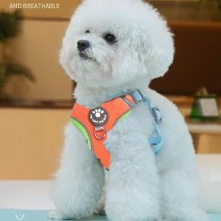 Xxcc Suede Colorful Pet Chest Sangle-Large Reflective Dog Leash In Contrast Dog Leash -nourriture pour chien boutique 713431930 max