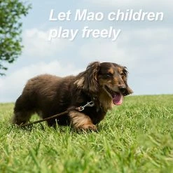 Xxcc Suede Colorful Pet Chest Sangle-Large Reflective Dog Leash In Contrast Dog Leash -nourriture pour chien boutique 713432177 max