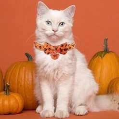 Unbranded Pet Halloween Ties - Soft Halloween Dog Ties And Bows With Bow Tie Bell | Halloween Collar For Dogs Ghost Pumpkin Pet Costume For Small Medium Puppy D -nourriture pour chien boutique 713453791 max
